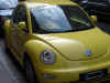 beetle_minibeetle.JPG (36702 bytes)