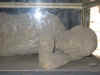 pompeii_body.JPG (44594 bytes)